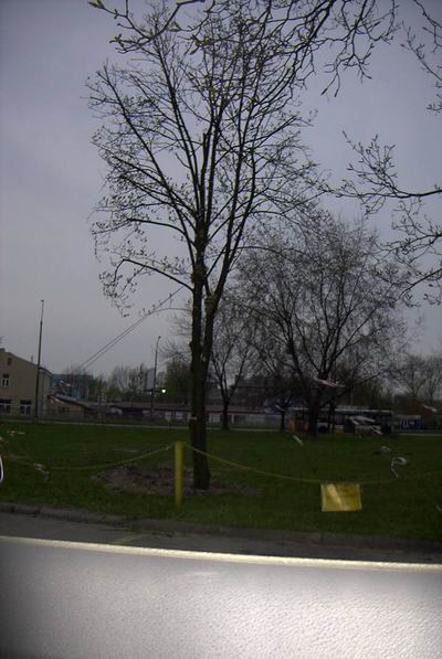 Bialystok 2007-04-19