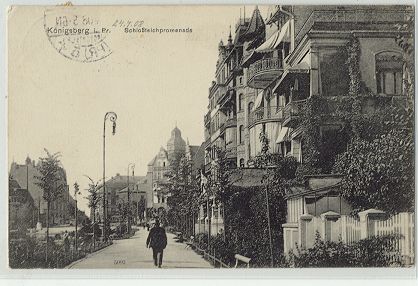 Kr�lewiec - Promenada parku zamkowego 1908